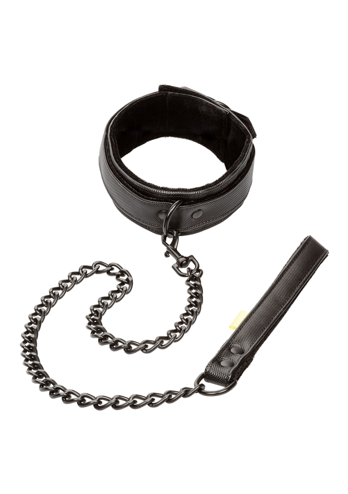 CalExotics Boundless Collar with Leash BLACK - 2