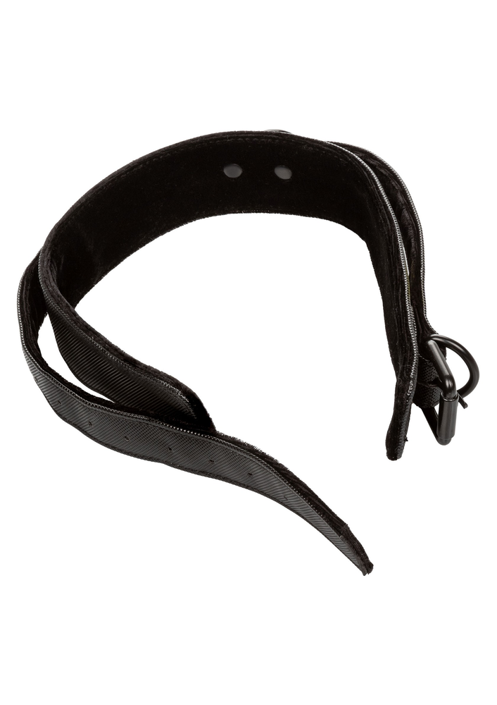 CalExotics Boundless Collar with Leash BLACK - 4