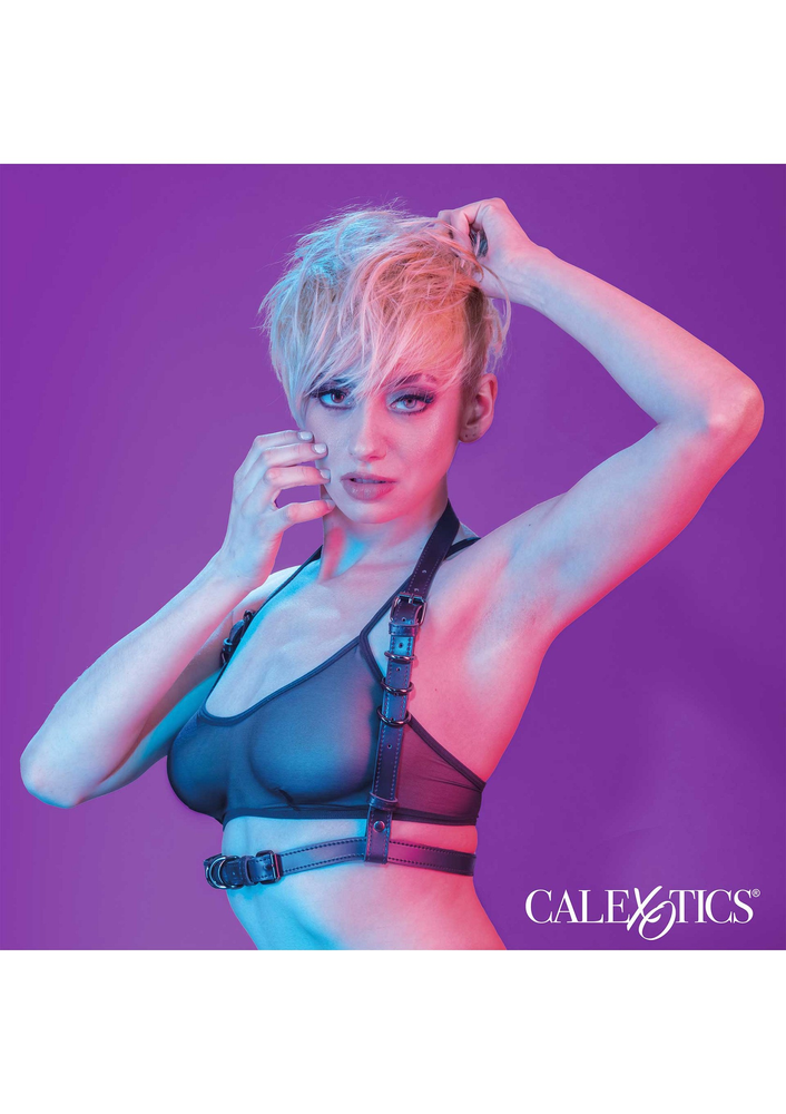 CalExotics Euphoria Collection Halter Buckle Harness BLACK - 4