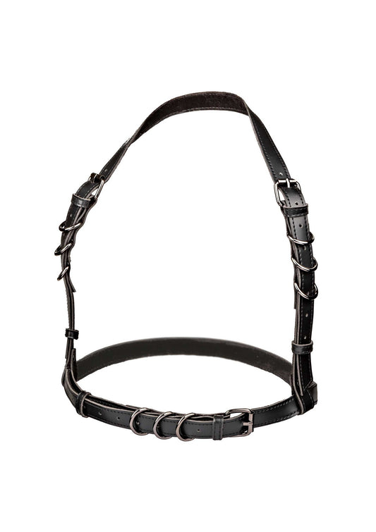 CalExotics Euphoria Collection Plus Size Halter Buckle Harness