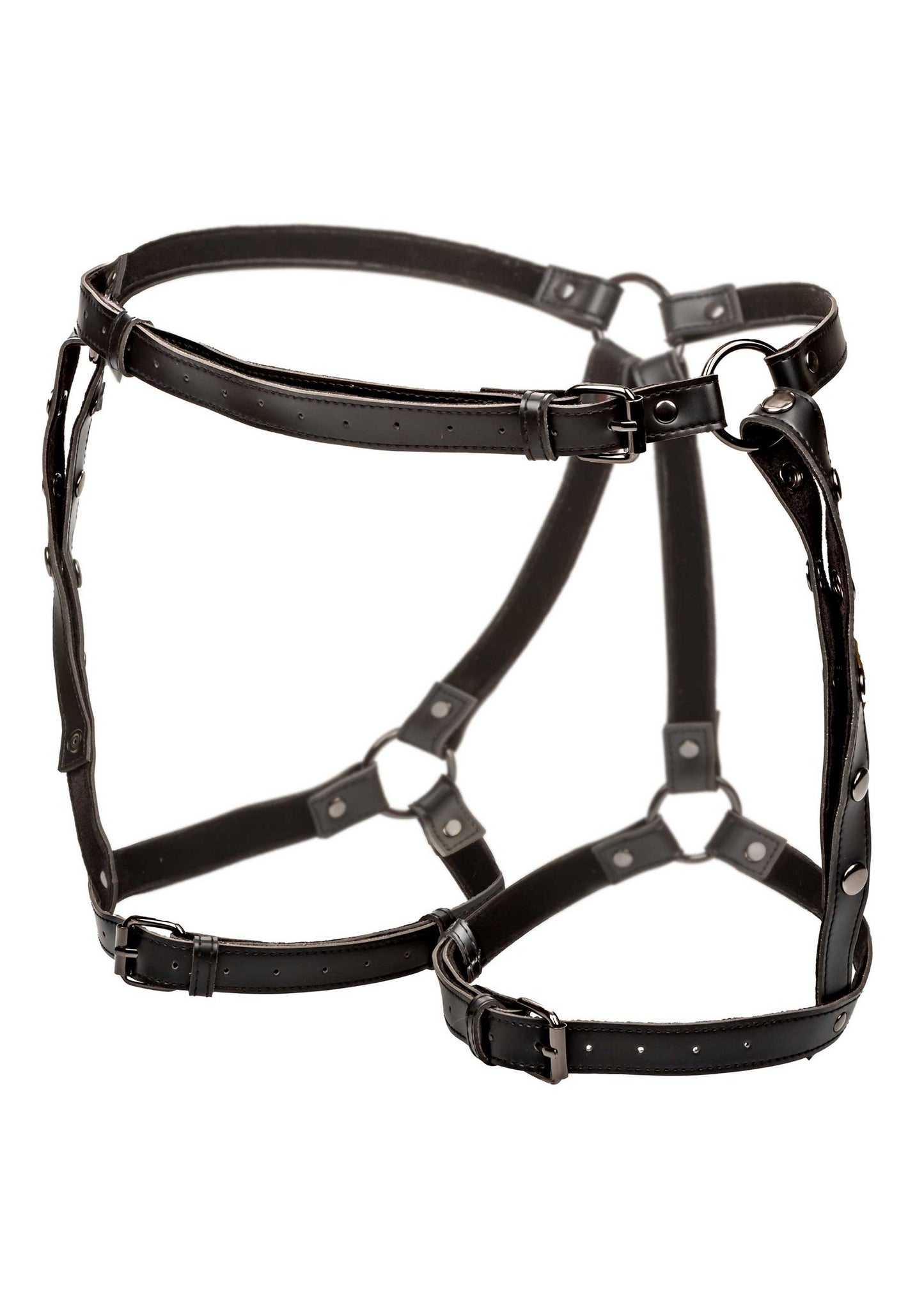 CalExotics Euphoria Collection Plus Size Riding Thigh Harness BLACK - 1