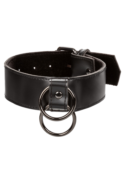 CalExotics Euphoria Collection Collar with Chain Leash BLACK - 820