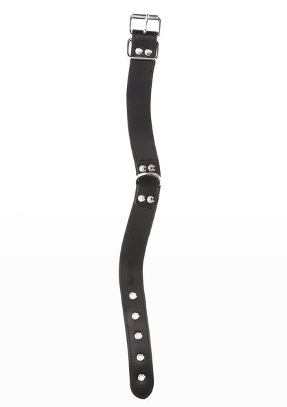 Taboom Bondage Essentials Elegant D-Ring Collar BLACK - 1