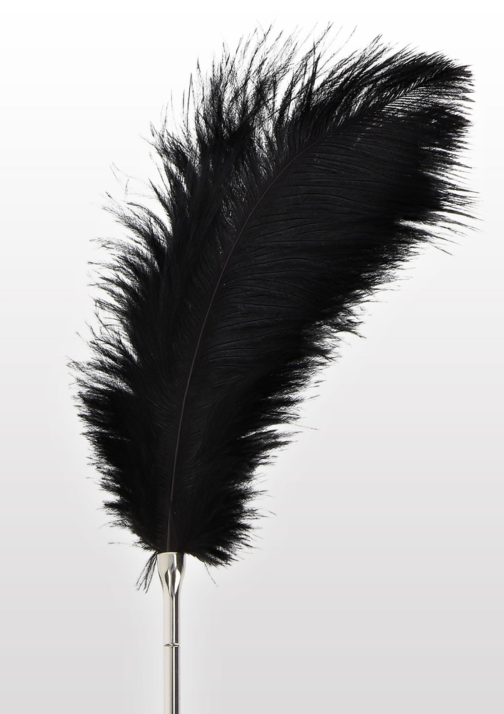 Taboom Bondage Essentials Feather Tickler BLACK - 5