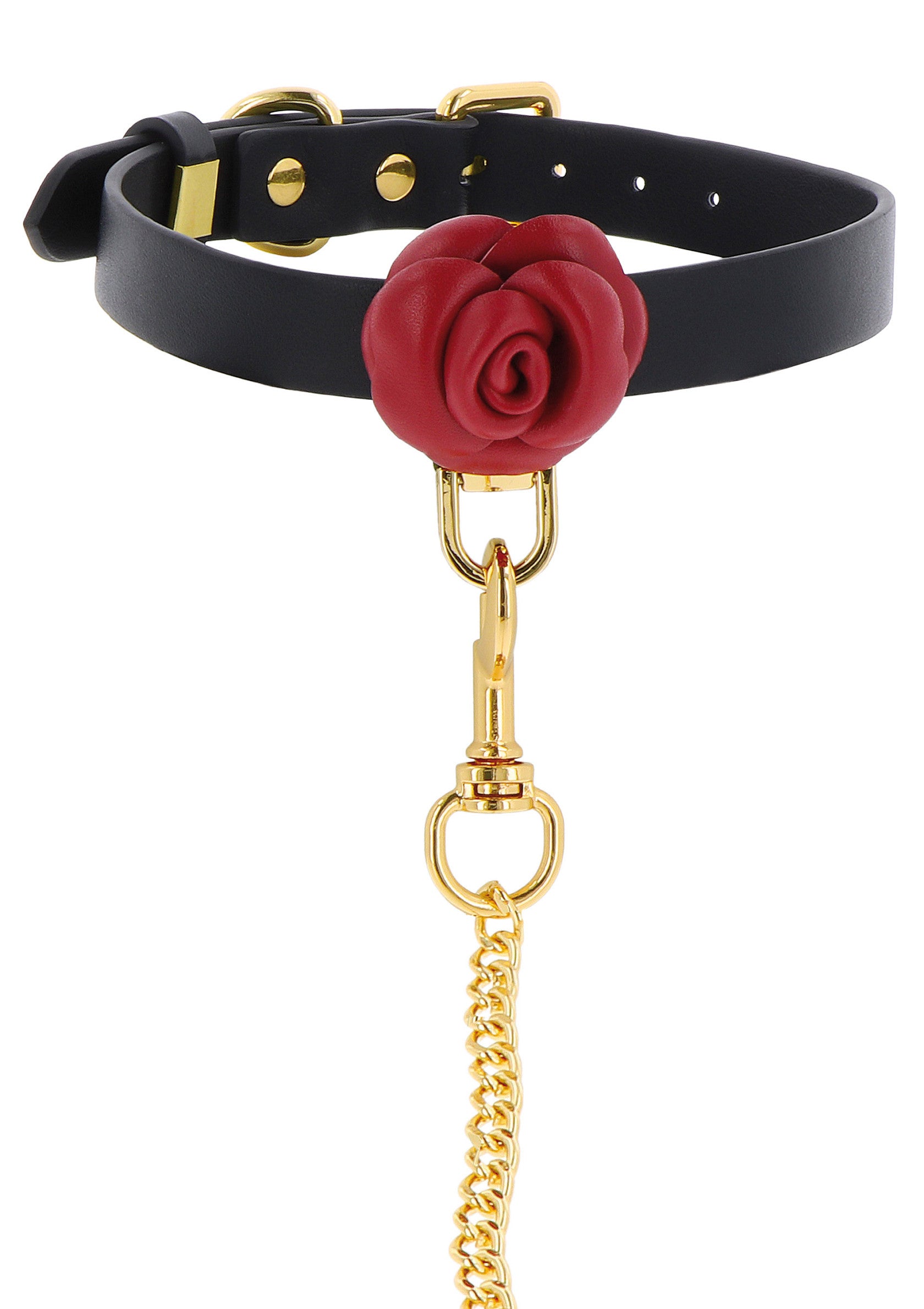 Wild Roses Collar & Leash BLACK - 6