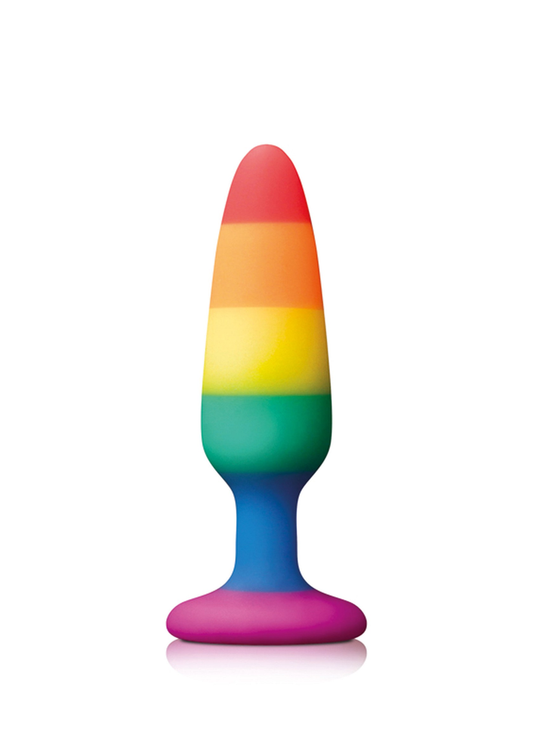 NS Novelties Colours Pride Edition Pleasure Plug Small